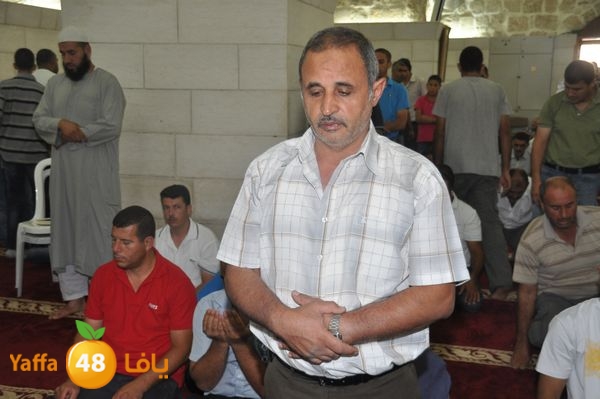 bazsalah lud 712 (40).JPG